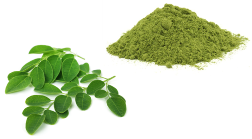 DRAGON Moringa 200g 