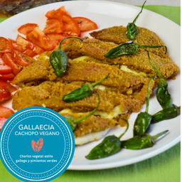 LA CUCHARA VERDE CAchopo Gallaecia